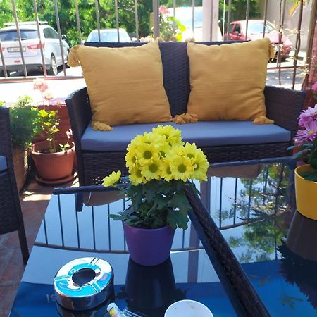 Adri Guest House ネセバル エクステリア 写真