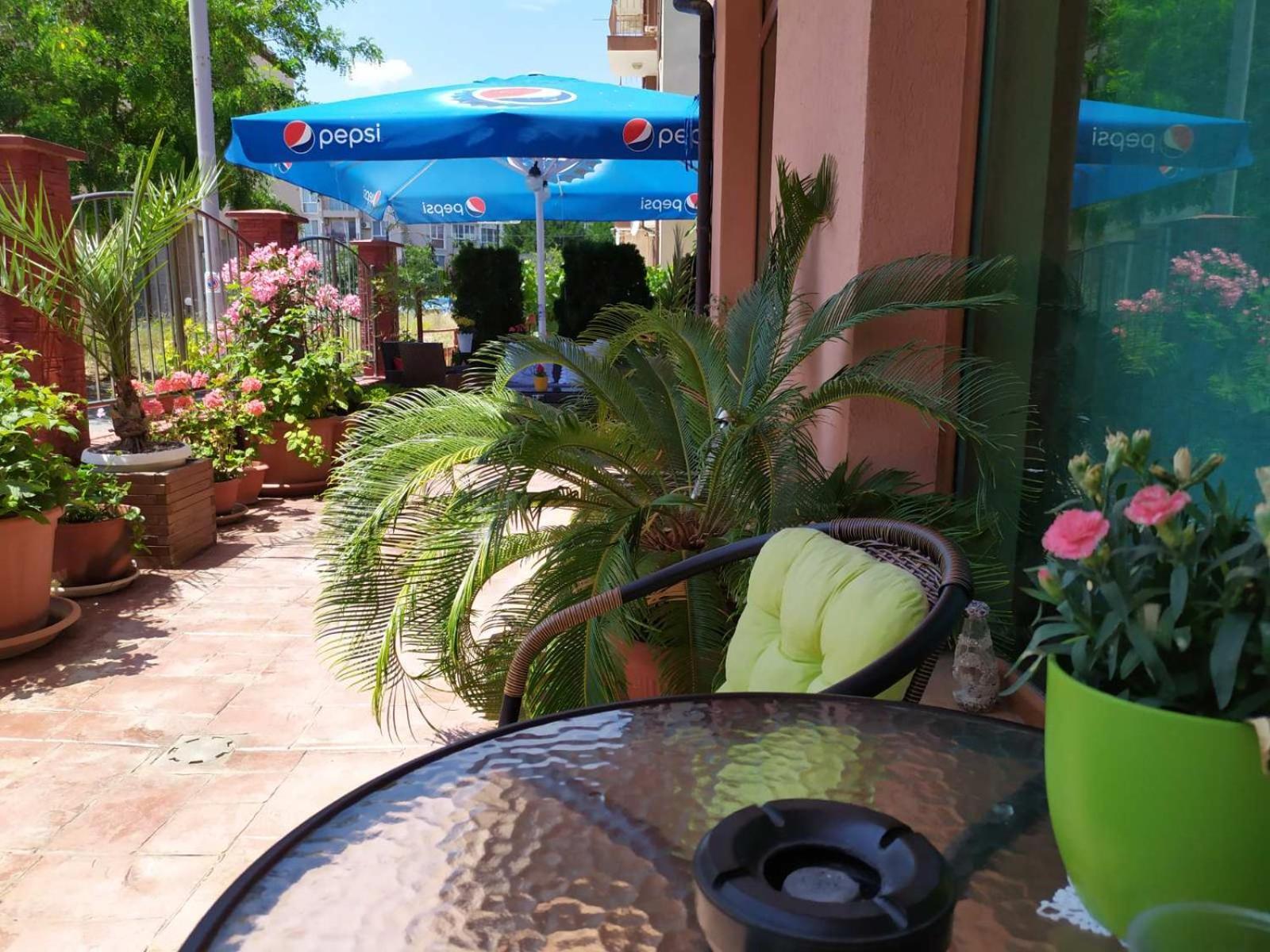 Adri Guest House ネセバル エクステリア 写真